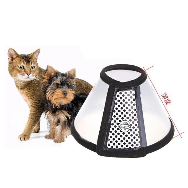 Anti Bite and Scratchings Collar New Dog Accessories Plastic Cat Dog Collar Elizabeth Circle Pet Products Beauty Healing Brace