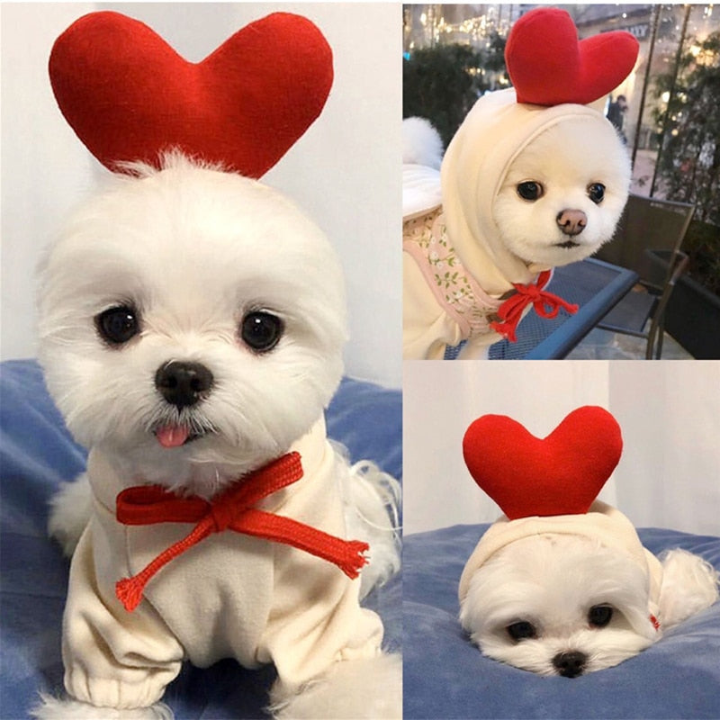 Warm Dog Winter Clothes Cute Fruit Dog Coat Hoodies Fleece Pet Dogs Costume Jacket for French Bulldog Chihuahua Ropa Para Perro