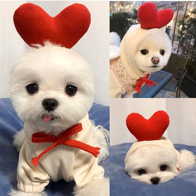 Warm Dog Winter Clothes Cute Fruit Dog Coat Hoodies Fleece Pet Dogs Costume Jacket for French Bulldog Chihuahua Ropa Para Perro