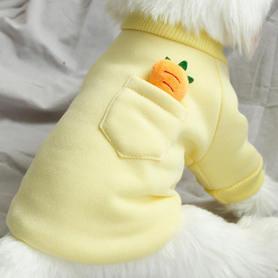 New Carrot Sweater Cute Teddy Dog Clothes Winter Warm Small Dog Pet Autumn And Winter Clothes