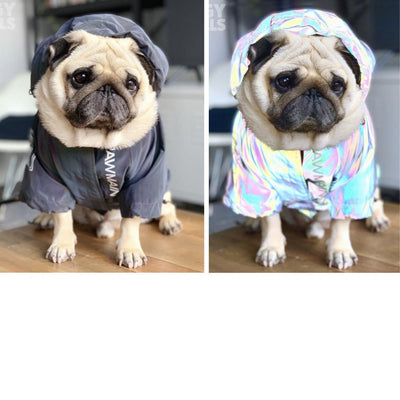 Raincoat Dog Pet