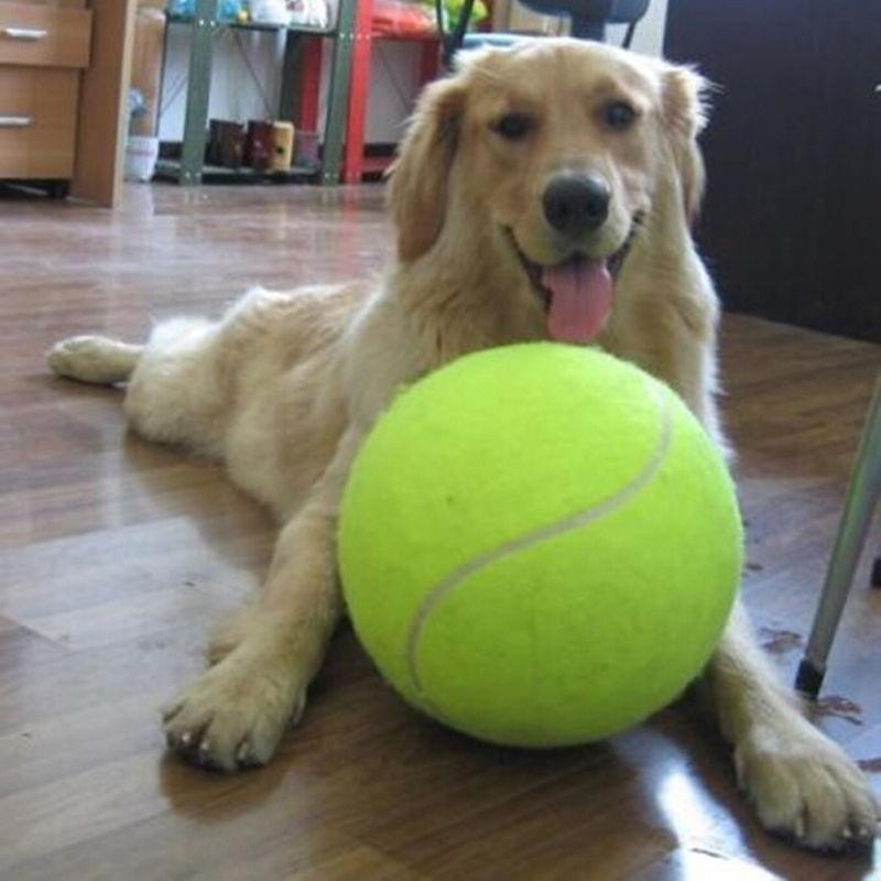9.5 Inches Dog Tennis Ball Giant Pet Toys for Dog Chewing Toy Signature Mega Jumbo Kids Toy Ball