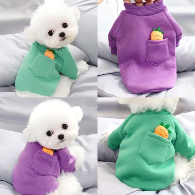 New Carrot Sweater Cute Teddy Dog Clothes Winter Warm Small Dog Pet Autumn And Winter Clothes