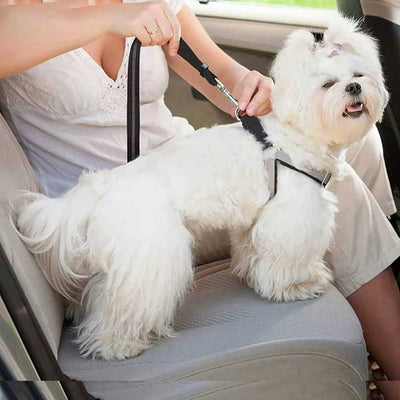 Explosion Proof Outdoor Dog Traction Rope Medium Size Dog Walking Rope Elastic Reflective Car Dual Purpose Traction Rope
