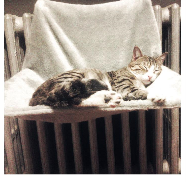 New Cat House Firm Cat Hammock Hanging Chair Portable Hanging Pet Nest Window Table Sleeping Chair Climbing Frame Cat Nest