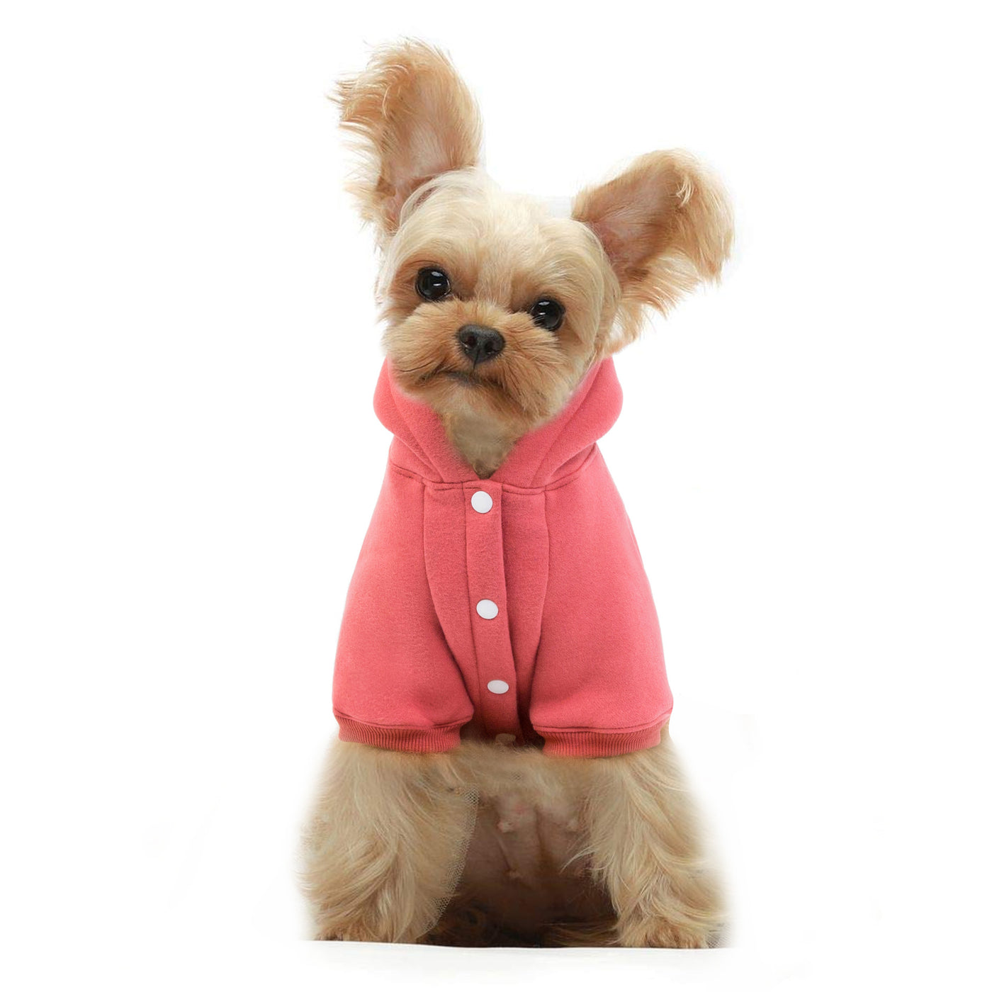 Autumn And Winter New Pet Clothing Dog Supplies Warm Fleece Hooded Teddy VIP Sweater Dog Clothes