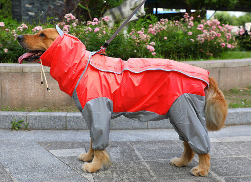 Raincoat Big Dog Golden Retriever Dog Satsuma Border Collie Medium And Large Dogs Full Package Four Feet Pet Waterproof Big Dog Clothes