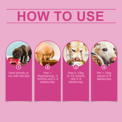 Dog Probiotic Tablets To Improve Intestinal Health, Balance Digestion And Absorption Of Pet Nutritional Supplements