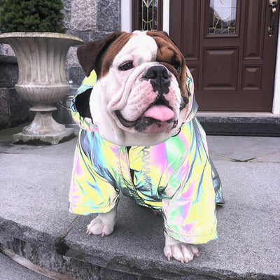 Raincoat Dog Pet