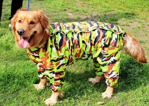 Raincoat Big Dog Golden Retriever Dog Satsuma Border Collie Medium And Large Dogs Full Package Four Feet Pet Waterproof Big Dog Clothes