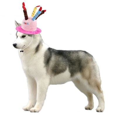 Pet Dog Birthday Hats Dog Headdress Cat Head Cover Cute Weird Cat Birthday Dress Up Faro Birthday Hat