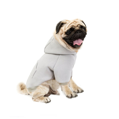 Autumn And Winter New Pet Clothing Dog Supplies Warm Fleece Hooded Teddy VIP Sweater Dog Clothes