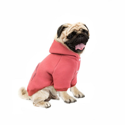 Autumn And Winter New Pet Clothing Dog Supplies Warm Fleece Hooded Teddy VIP Sweater Dog Clothes