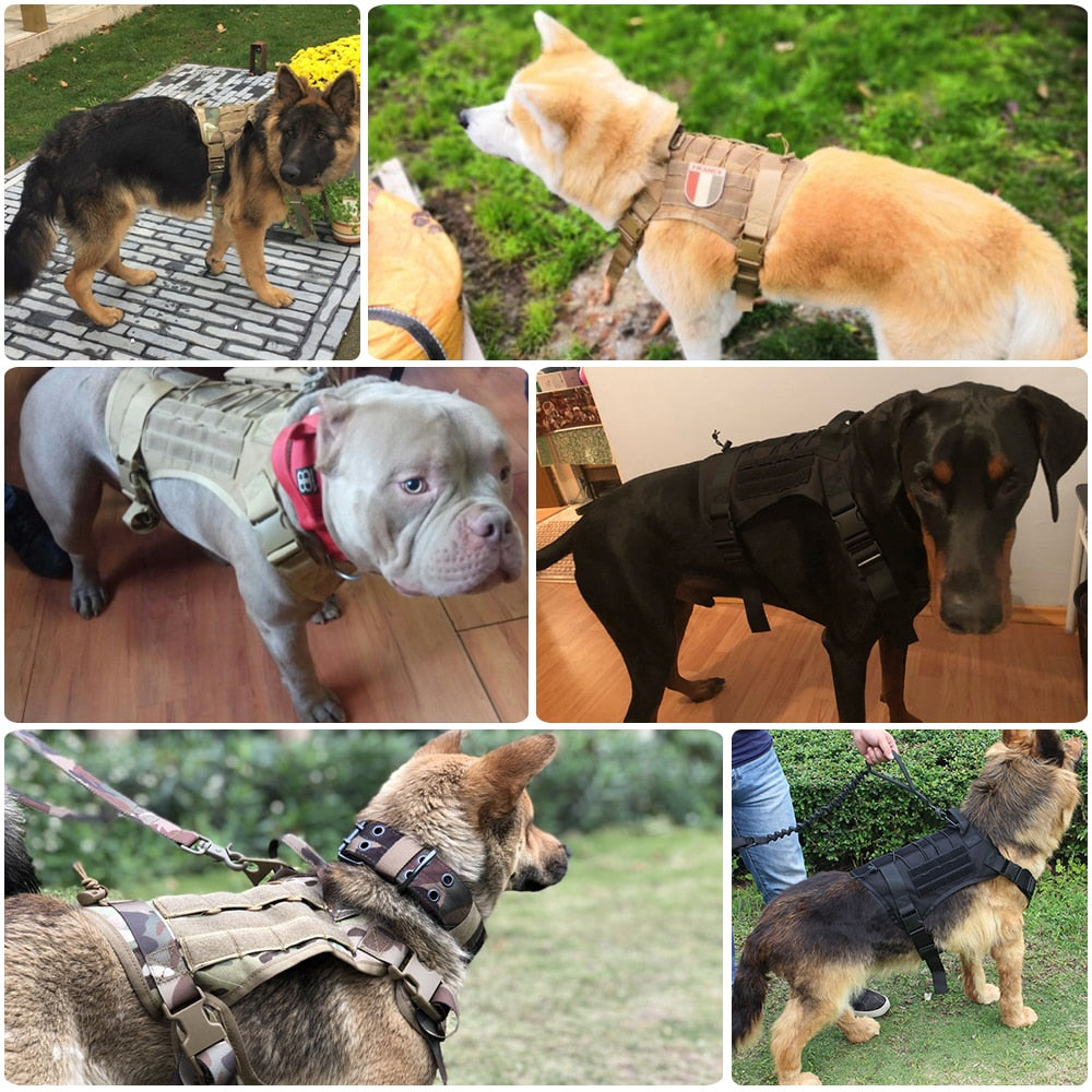 Military Tactical Dog Harness German Shepherd Pet Dog Vest With Handle Nylon Bungee Dog Leash Harness For Small Large Dogs Puppy