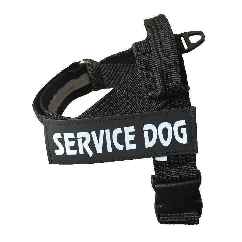 Personalized Dog Adjustable Dog Harness Vest