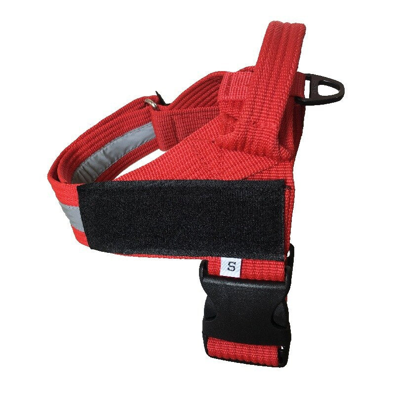 Personalized Dog Adjustable Dog Harness Vest