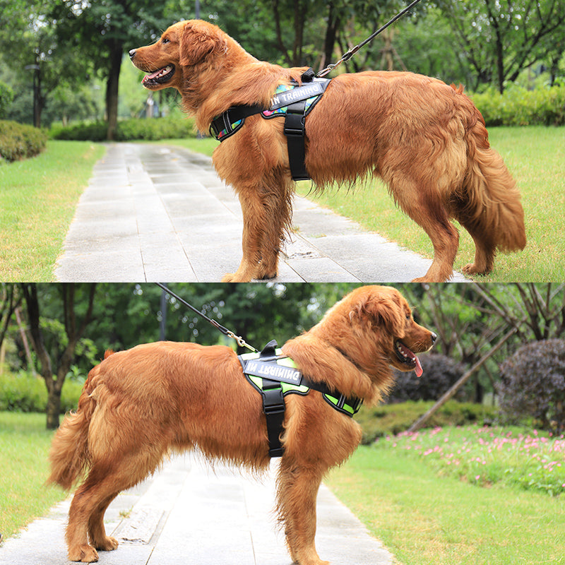 New Neck Guard Dog Chest Strap Reflective Pet Chest Strap Personalized Dog Chest Strap Dog Rope